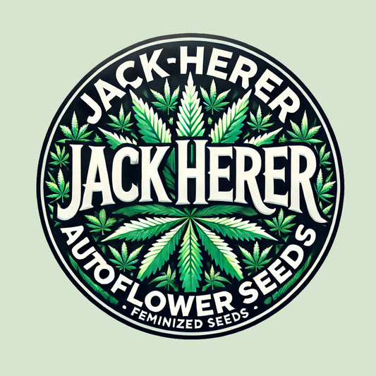 Jack Herer - Sativa Autoflower Marijuana Seeds