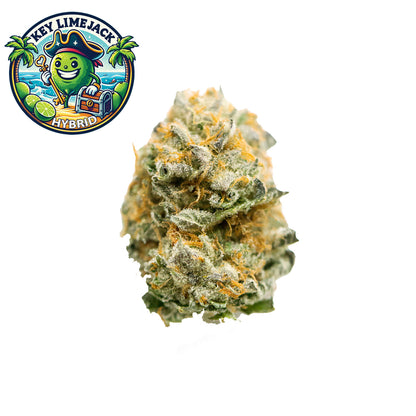 Key lime Jack - Hybrid