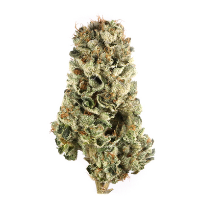 LSD - Indica Feminized Marijuana Seeds