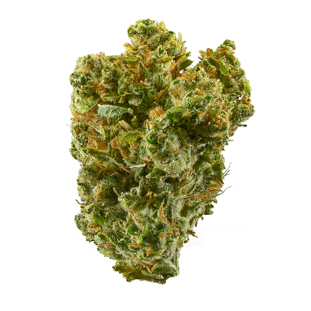 Super Silver Haze - Sativa Feminized Marijuana Seeds